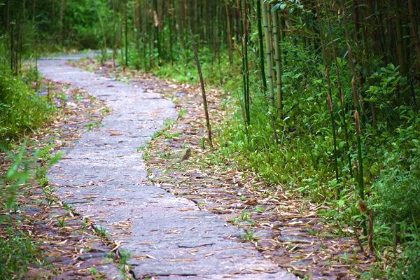 2025年1-12月全国包装行业出口额较上年同期增长2.76%