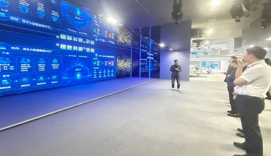 工信部专家组来汉开展“模数共振”行动中期评估实地调研