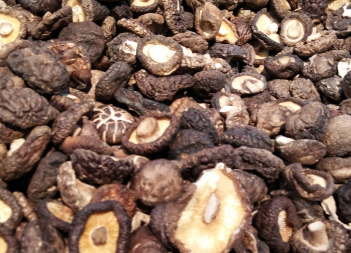 食品机械赋能 推动香菇产业高质量发展