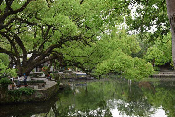 最新BOPP薄膜相关专利发布（3月12日）