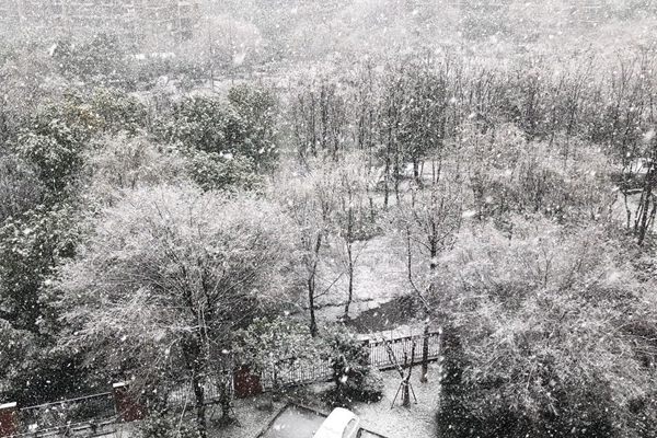 万华化学耐低温系列TPU：破解汽车线缆极寒脆裂难题