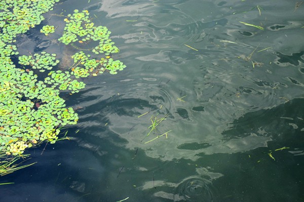 辽宁圆满完成邮政快递业团的建设“两个覆盖”