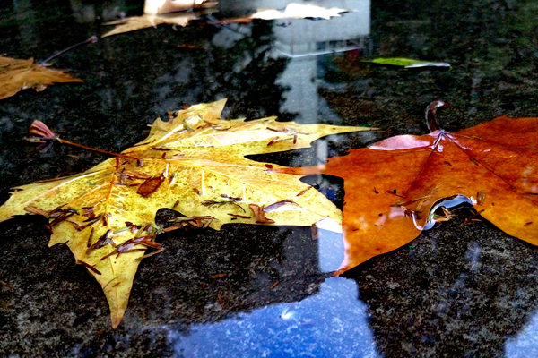 喜报：罗莱生活荣获第七届“江苏慈善奖”