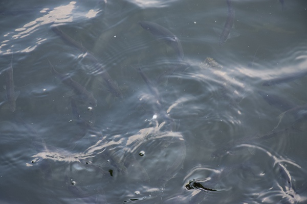 英国发布纺织品生产者延伸责任（EPR）计划蓝图